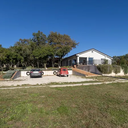 Selagodi Vila *
